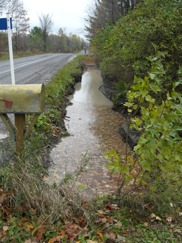 Scaled image cimg2161.jpg (473kB)