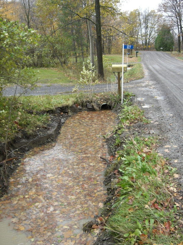 Scaled image cimg2163.jpg (483kB)