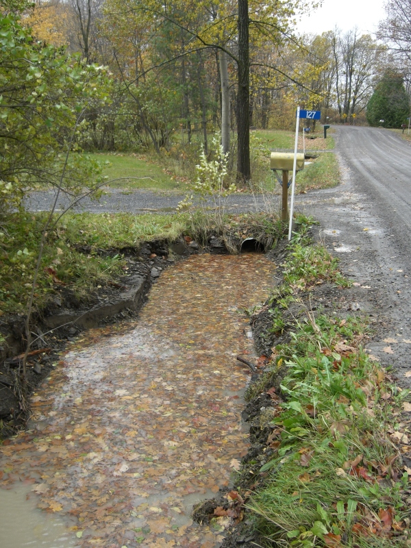 Scaled image cimg2164.jpg (430kB)