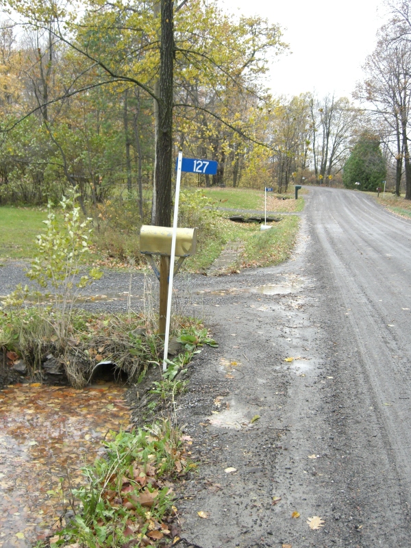 Scaled image cimg2165.jpg (420kB)