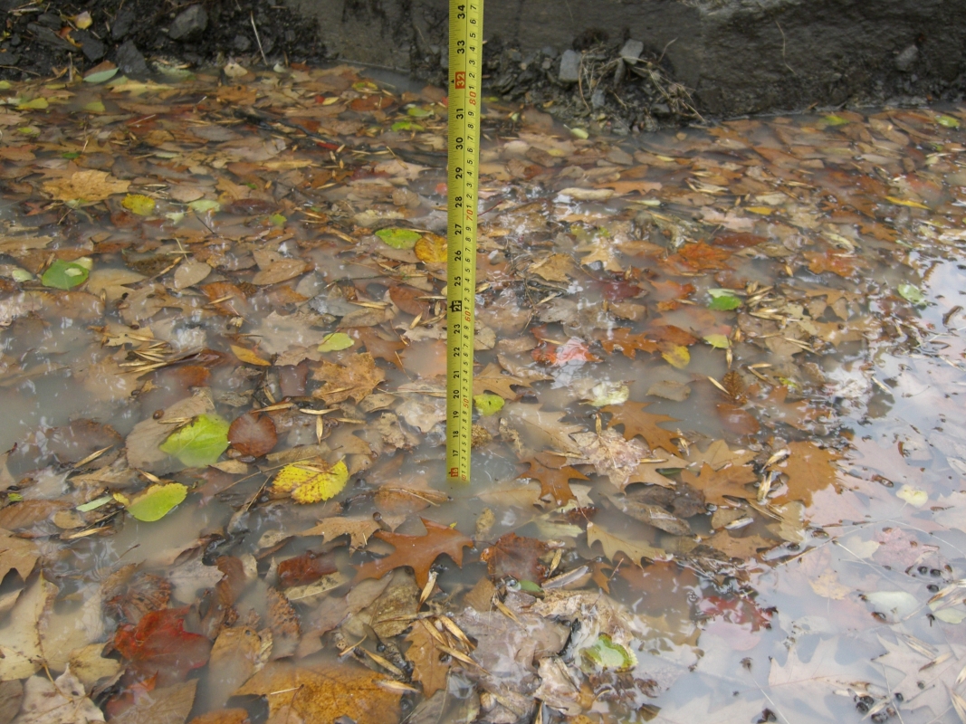 Scaled image cimg2166.jpg (741kB)