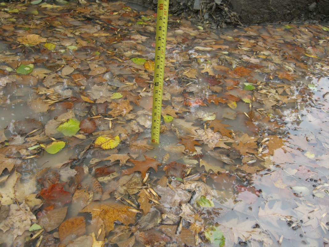 Scaled image cimg2167.jpg (693kB)