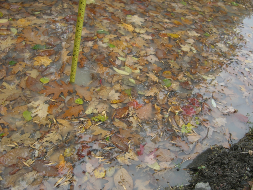 Scaled image cimg2168.jpg (723kB)