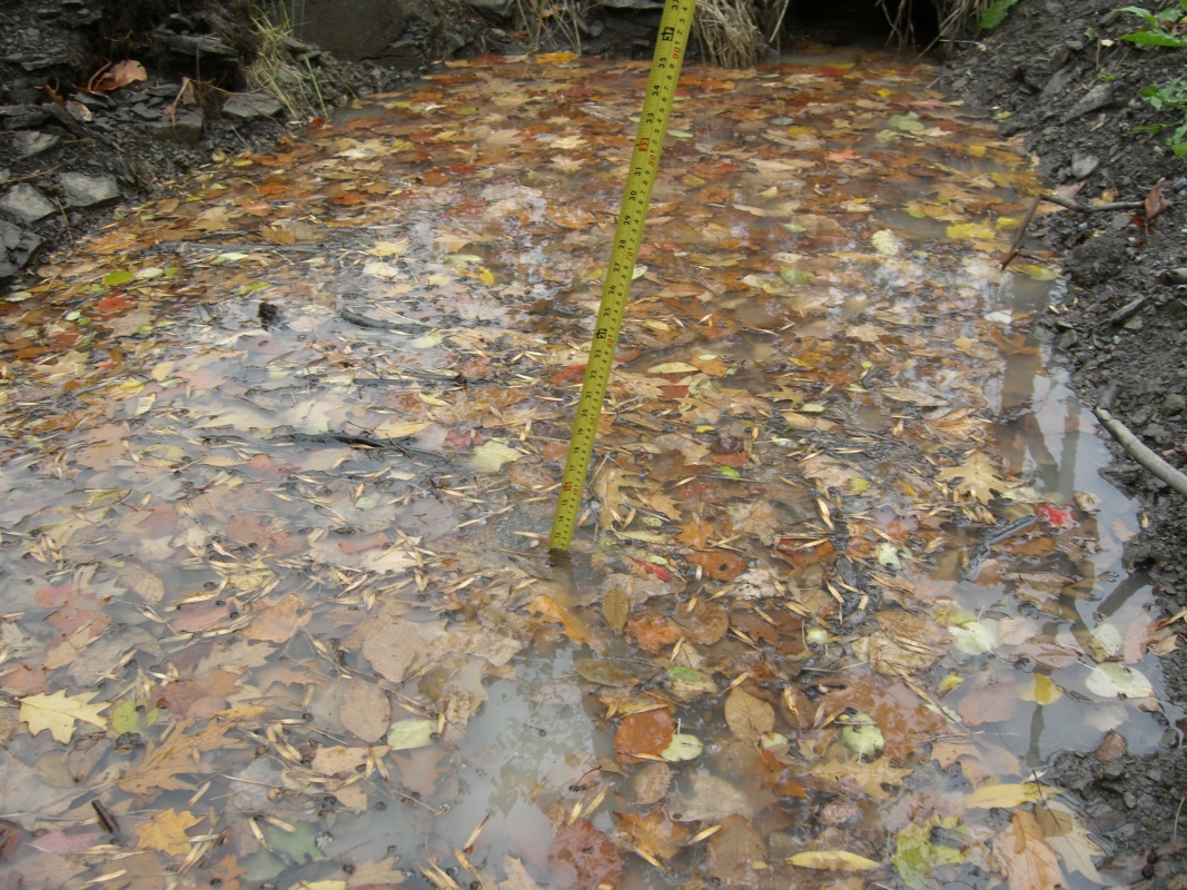 Scaled image cimg2172.jpg (730kB)