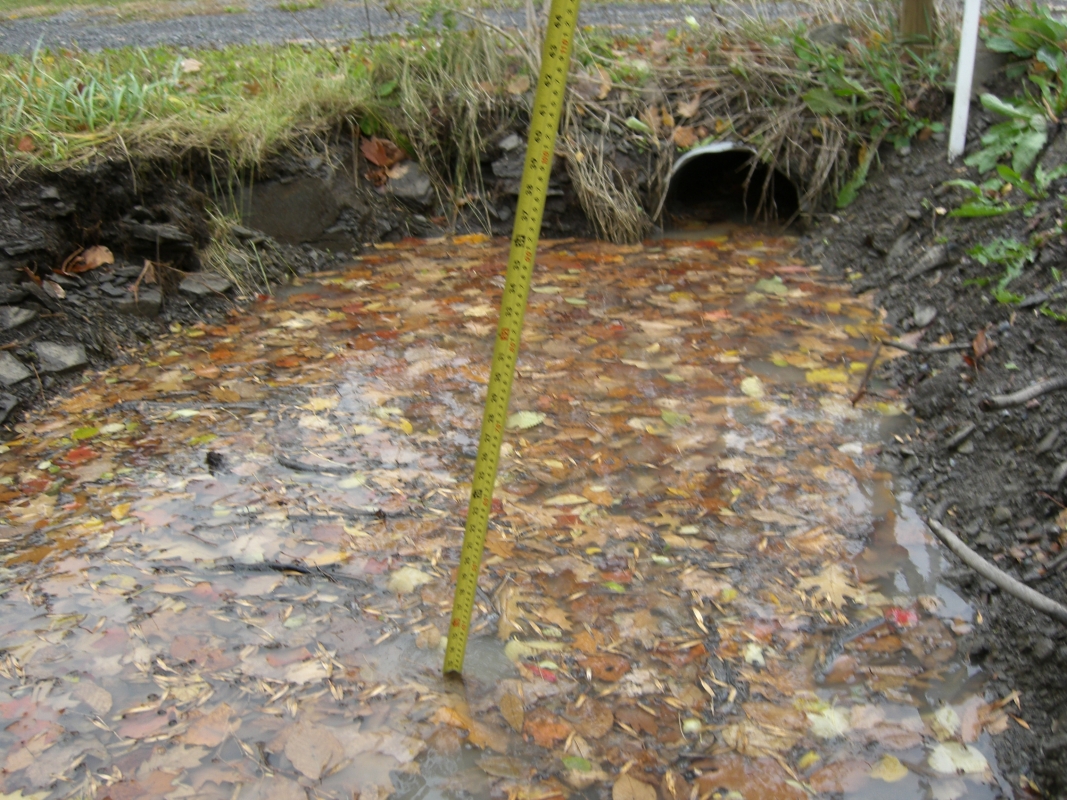 Scaled image cimg2174.jpg (755kB)