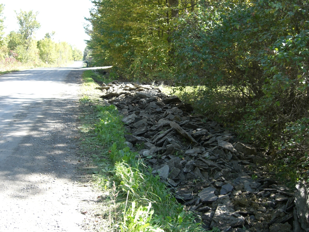 Scaled image cimg2149.jpg (761kB)