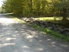 Thumbnail cimg2148.jpg 