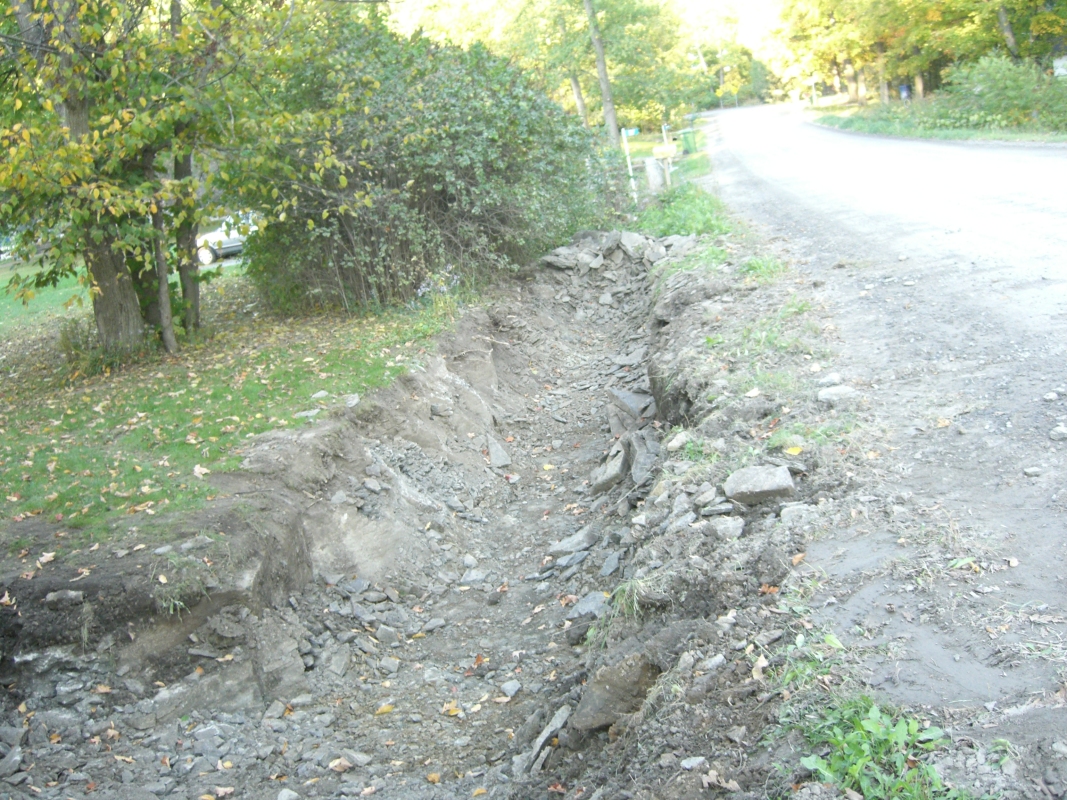 Scaled image cimg2153.jpg (750kB)