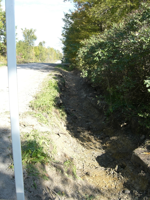 Scaled image cimg2157.jpg (445kB)