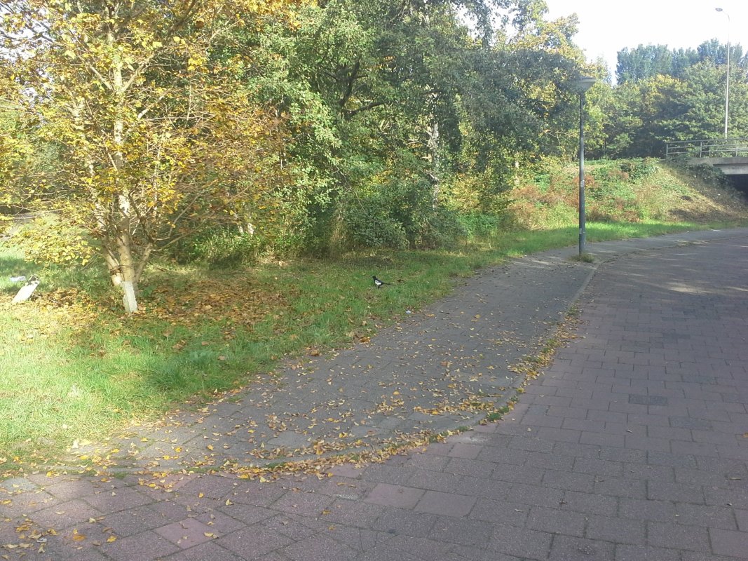 Scaled image IMG_20151029_120646.jpg (319kB)