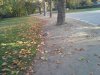 Thumbnail IMG_20151027_085530.jpg 