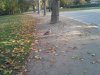 Thumbnail IMG_20151027_085533.jpg 