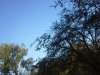 Thumbnail IMG_20151027_090107.jpg 
