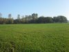 Thumbnail IMG_20151027_101414.jpg 