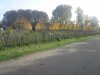 Thumbnail IMG_20151029_113055.jpg 