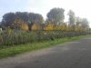 Thumbnail IMG_20151029_113057.jpg 