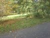 Thumbnail IMG_20151029_120719.jpg 