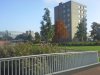 Thumbnail IMG_20151029_121952.jpg 