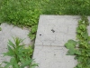 Thumbnail cimg2000.jpg 