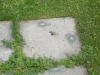 Thumbnail cimg2001.jpg 
