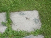 Thumbnail cimg2002.jpg 