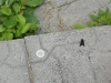 Thumbnail cimg2006.jpg 