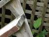Thumbnail cimg2008.jpg 