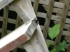 Thumbnail cimg2009.jpg 