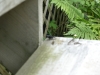 Thumbnail cimg2013.jpg 