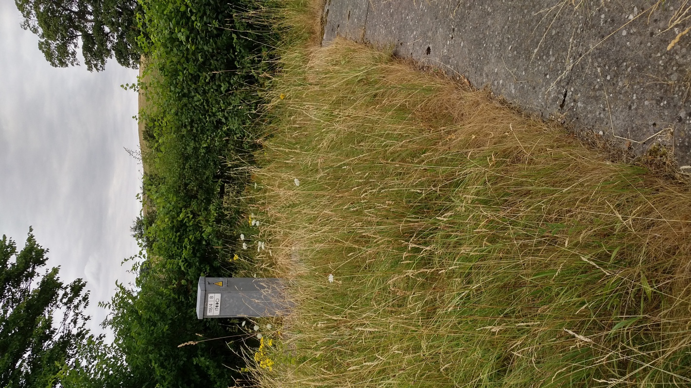 Scaled image IMG_20180717_1804409.jpg (680kB)