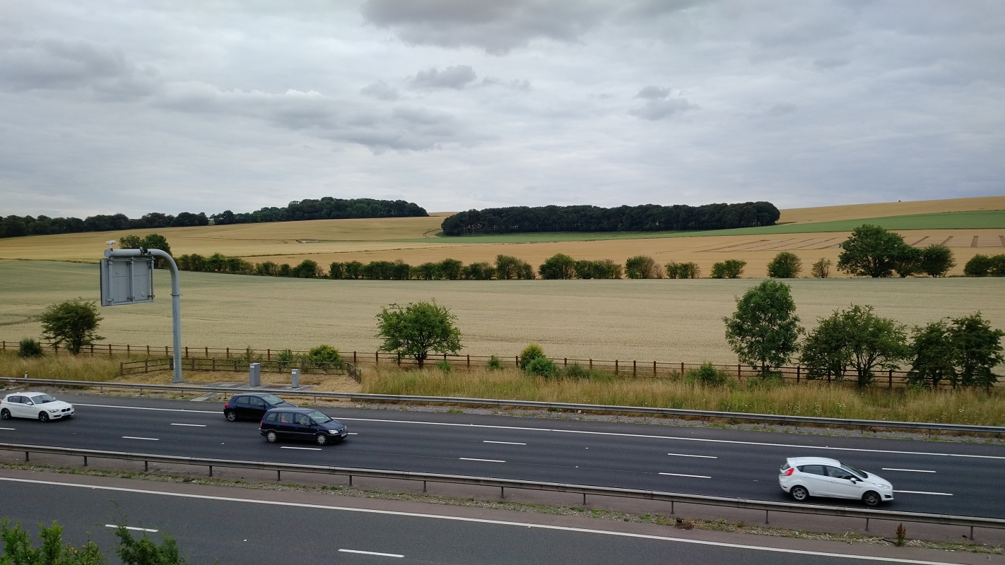 Scaled image IMG_20180717_1808288.jpg (387kB)