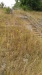 Thumbnail IMG_20180717_1803579.jpg 