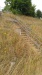 Thumbnail IMG_20180717_1803589.jpg 