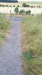 Thumbnail IMG_20180717_1807572.jpg 