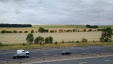 Thumbnail IMG_20180717_1808244.jpg 