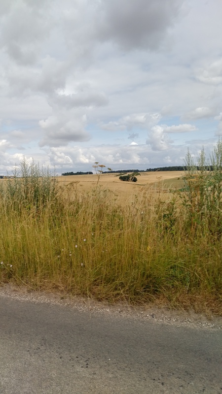 Scaled image IMG_20180718_1128430.jpg (155kB)