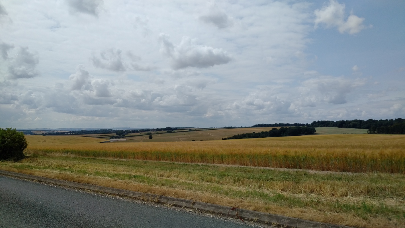 Scaled image IMG_20180718_1147578.jpg (343kB)