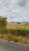 Thumbnail IMG_20180718_1128411.jpg 