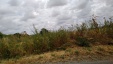 Thumbnail IMG_20180718_1136511.jpg 