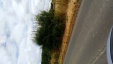 Thumbnail IMG_20180718_1136561.jpg 
