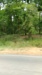 Thumbnail IMG_20180718_1137136.jpg 