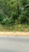 Thumbnail IMG_20180718_1137168.jpg 
