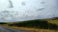 Thumbnail IMG_20180718_1148056.jpg 
