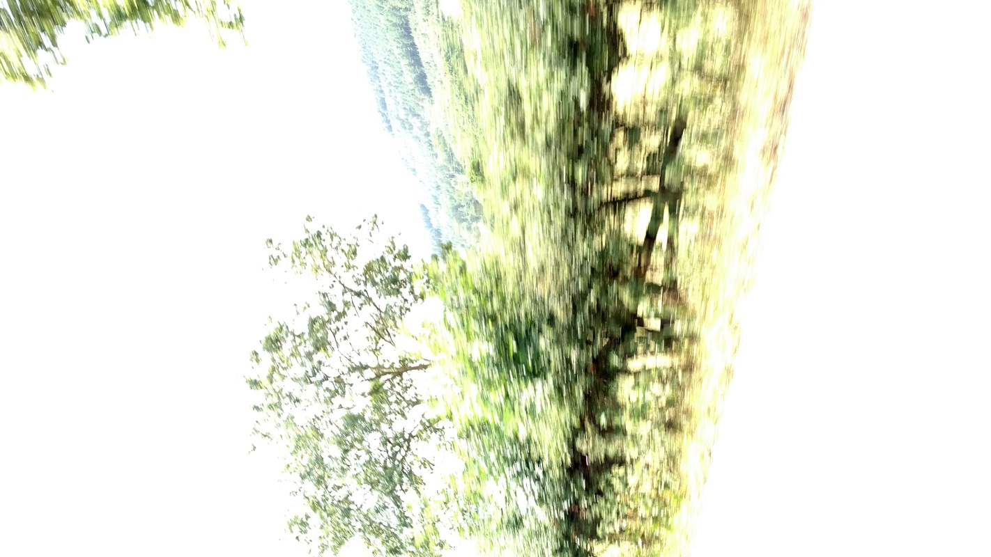 Scaled image IMG_20180719_1232046.jpg (313kB)