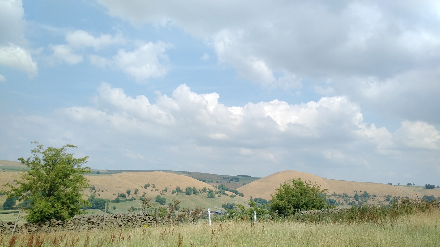 Scaled image IMG_20180719_1428493.jpg (317kB)