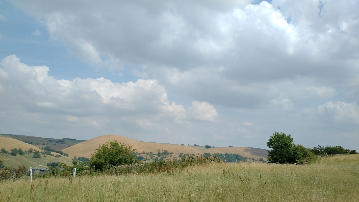 Scaled image IMG_20180719_1428511.jpg (302kB)