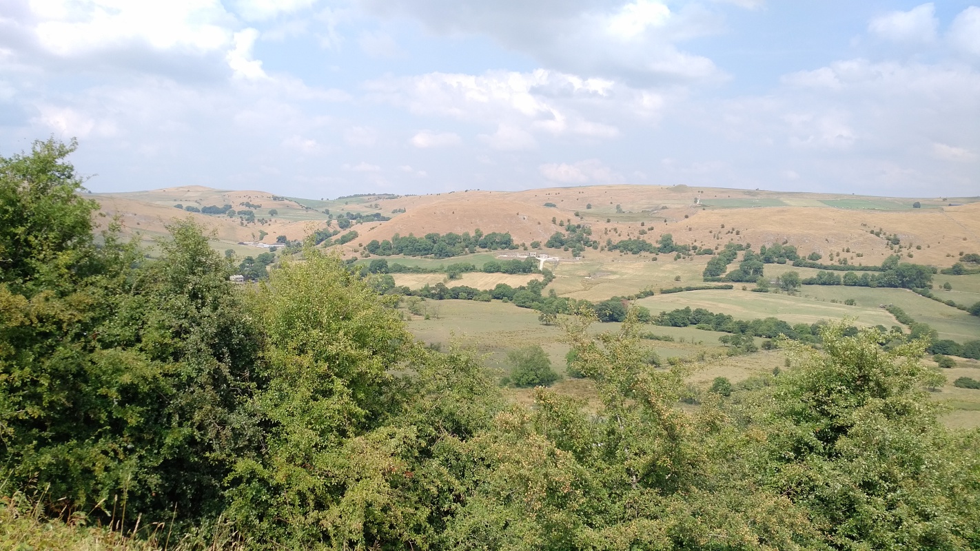 Scaled image IMG_20180719_1430317.jpg (567kB)