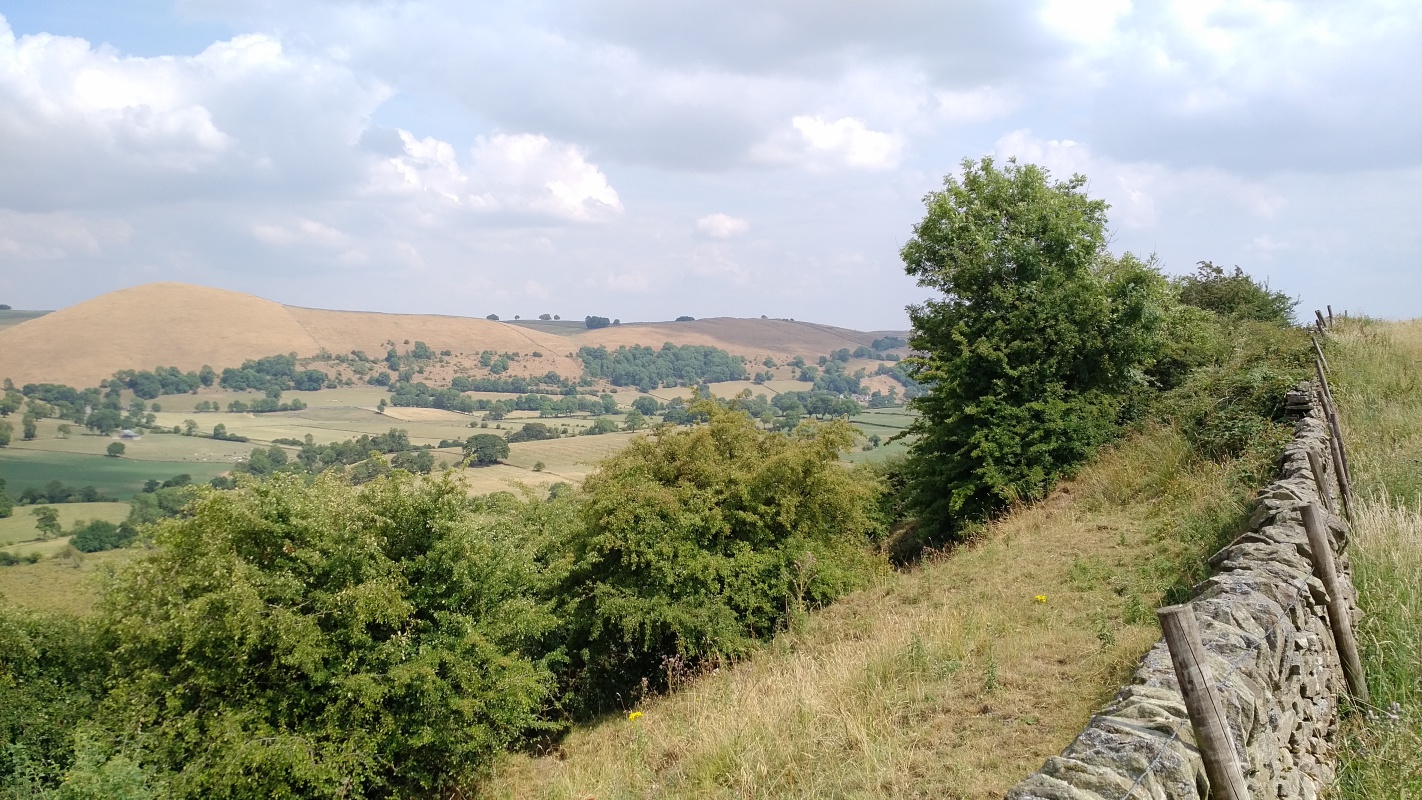 Scaled image IMG_20180719_1430355.jpg (551kB)