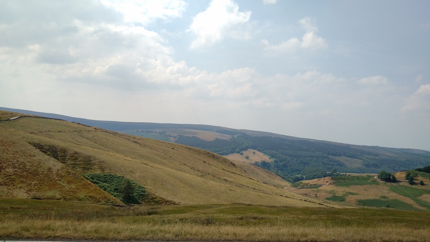Scaled image IMG_20180719_1456365.jpg (332kB)