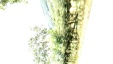 Thumbnail IMG_20180719_1232046.jpg 
